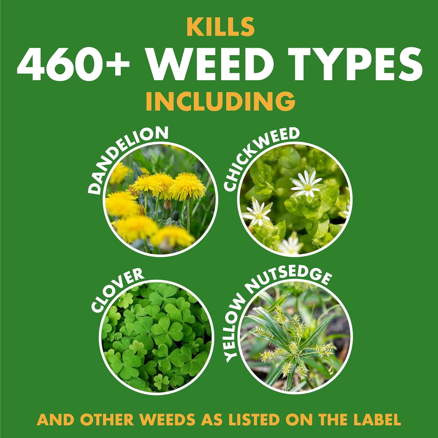 Spectracide Weed Stop for Lawns Concentrate, Ready to Spray, Kills All Types of Listed Broadleaf Weeds, 32 Ounce, 6 Pack