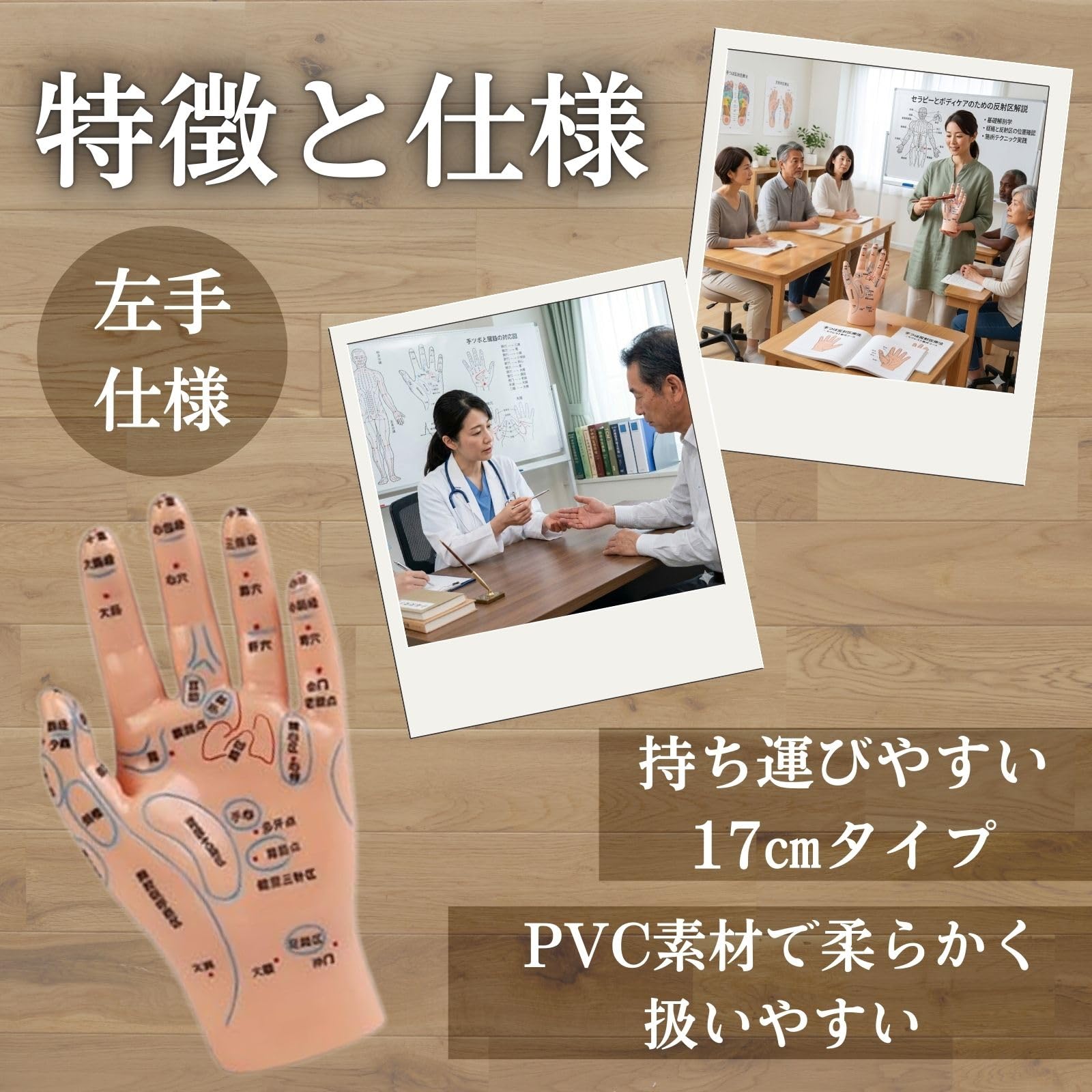 Amazon.co.jp: S.T.S.G 手つぼ 模型 ハンドマネキン 左手 鍼灸 整体