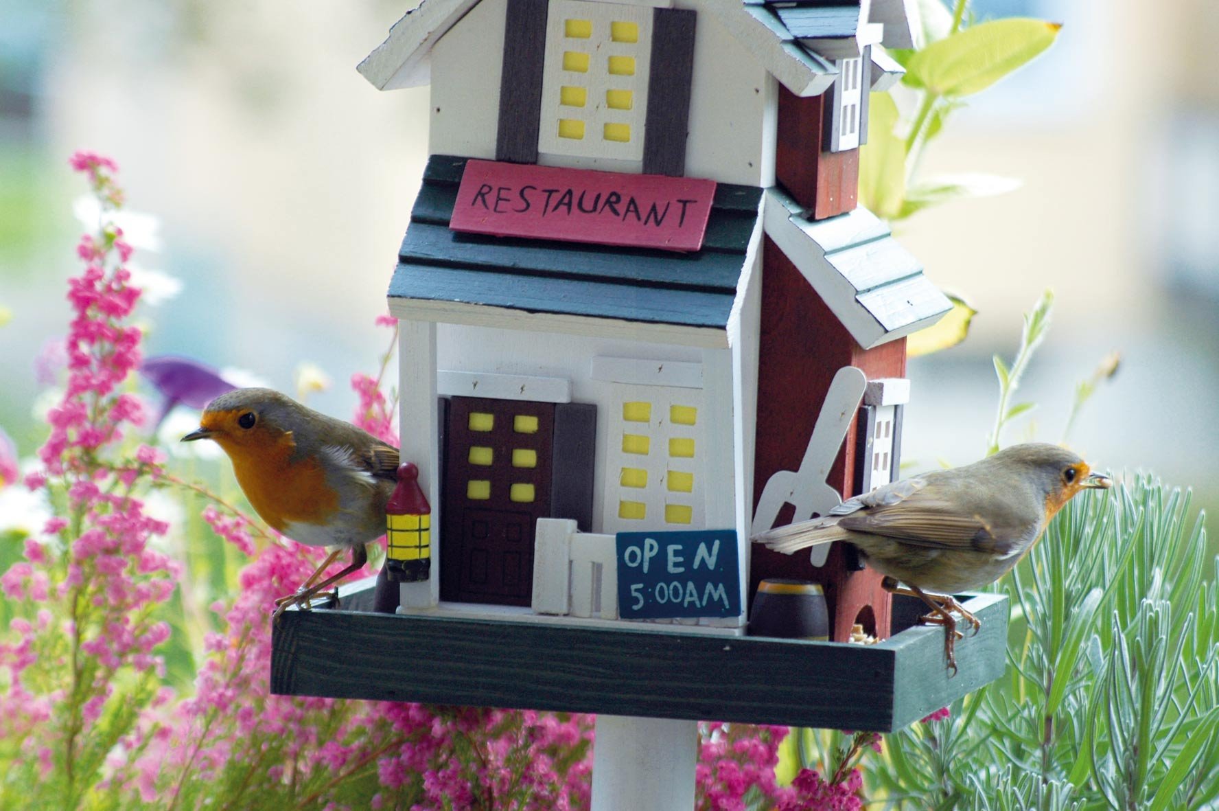 Dobar® 25307FSC Mangeoire à Oiseaux Colorée Avec Support Style Western - Petite Villa à Oiseaux En