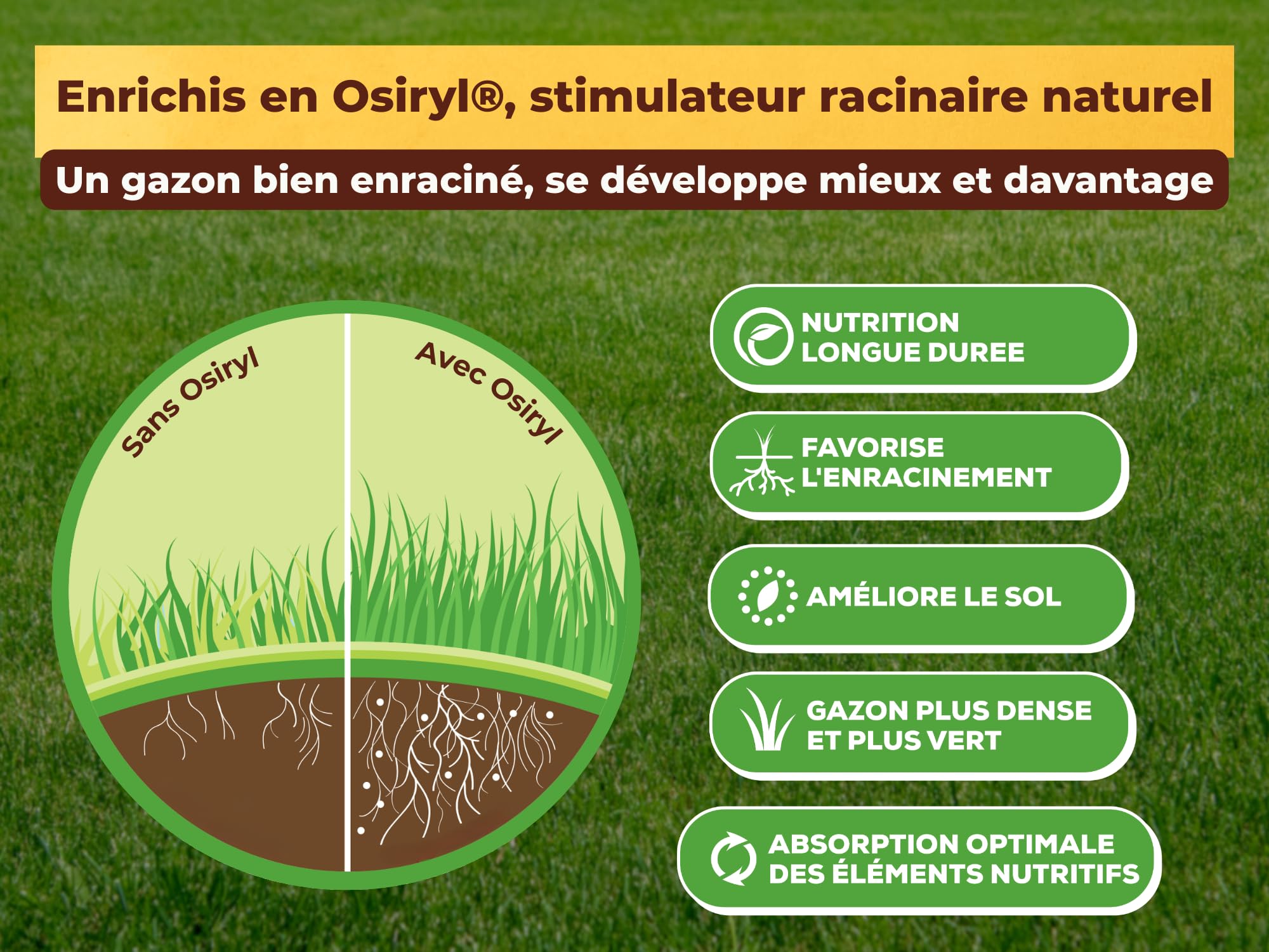 SOLABIOL Engrais Gazon Longue Durée - Sac 10 Kg - Jusqu'à 330m² - Améliore la tolérance à la sécheresse - Résiste au piétinement - Gazon Plus Dense & Plus Vert SOGAZY10BP