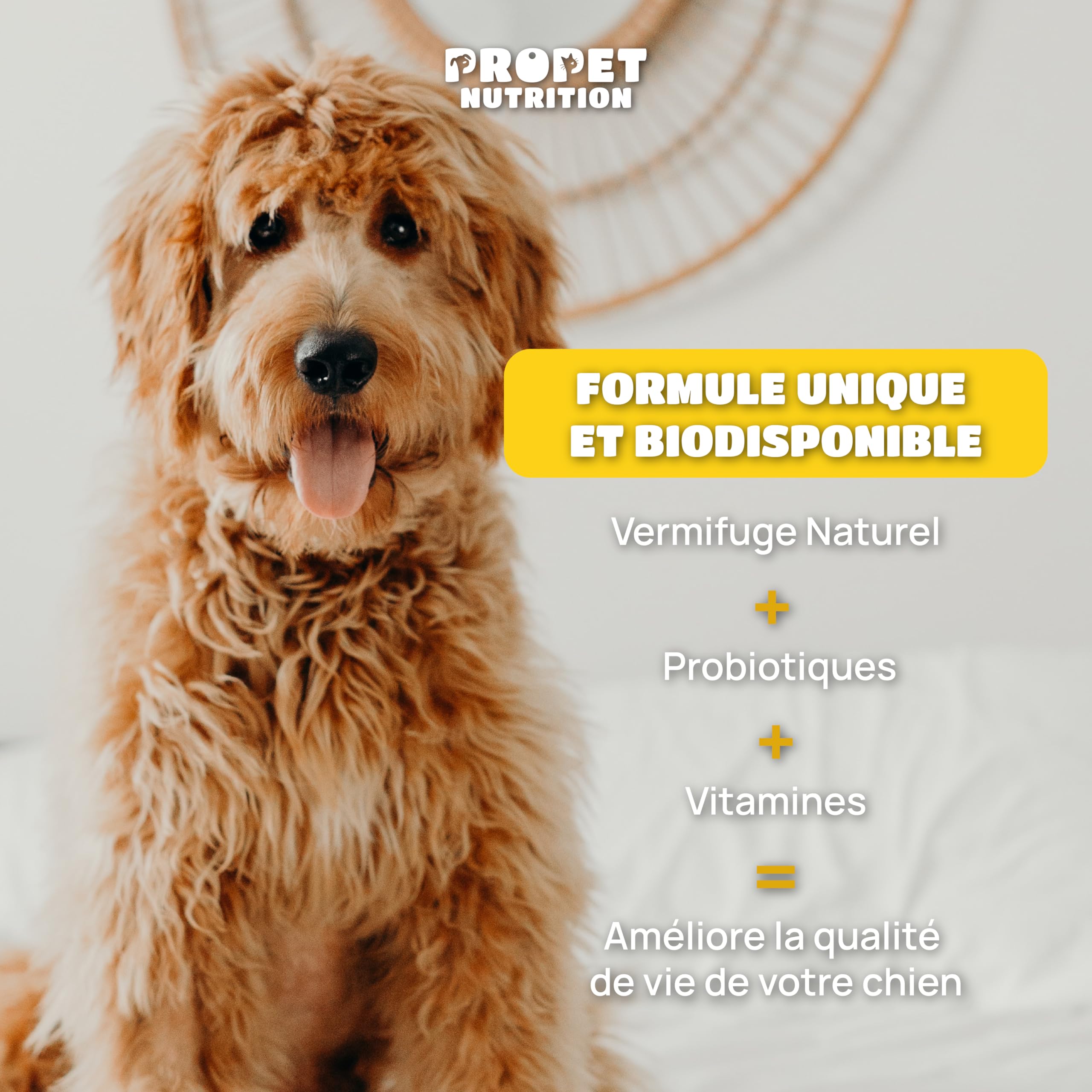 Vermifuge Chien à Base d'Extraits de Plante. 120 Comprimés. Contre Les vers. 100% Naturel. Probiotique Chien + Vitamines B. Protection Intestinale. Toutes Races, Chiot et Chaton. Antiparasite Interne