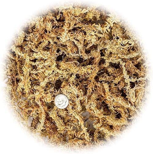 Miniatura 2 de Gardenera - Musgo esfagnum de grado prémium  Orquídea de musgo esfagnum de fibra larga orgánica mezclada a mano de Nueva Zelanda  2 cuartos de galón