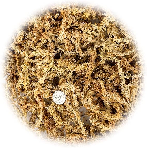 Premium New Zealand Sphagnum Moss by Gardenera - Organic Hand Mixed Long Fibered Sphagnum Moss Orchid - 1 Quart