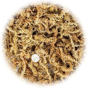 Premium New Zealand Sphagnum Moss by Gardenera - Organic Hand Mixed Long Fibered Sphagnum Moss Orchid - 1 Quart
