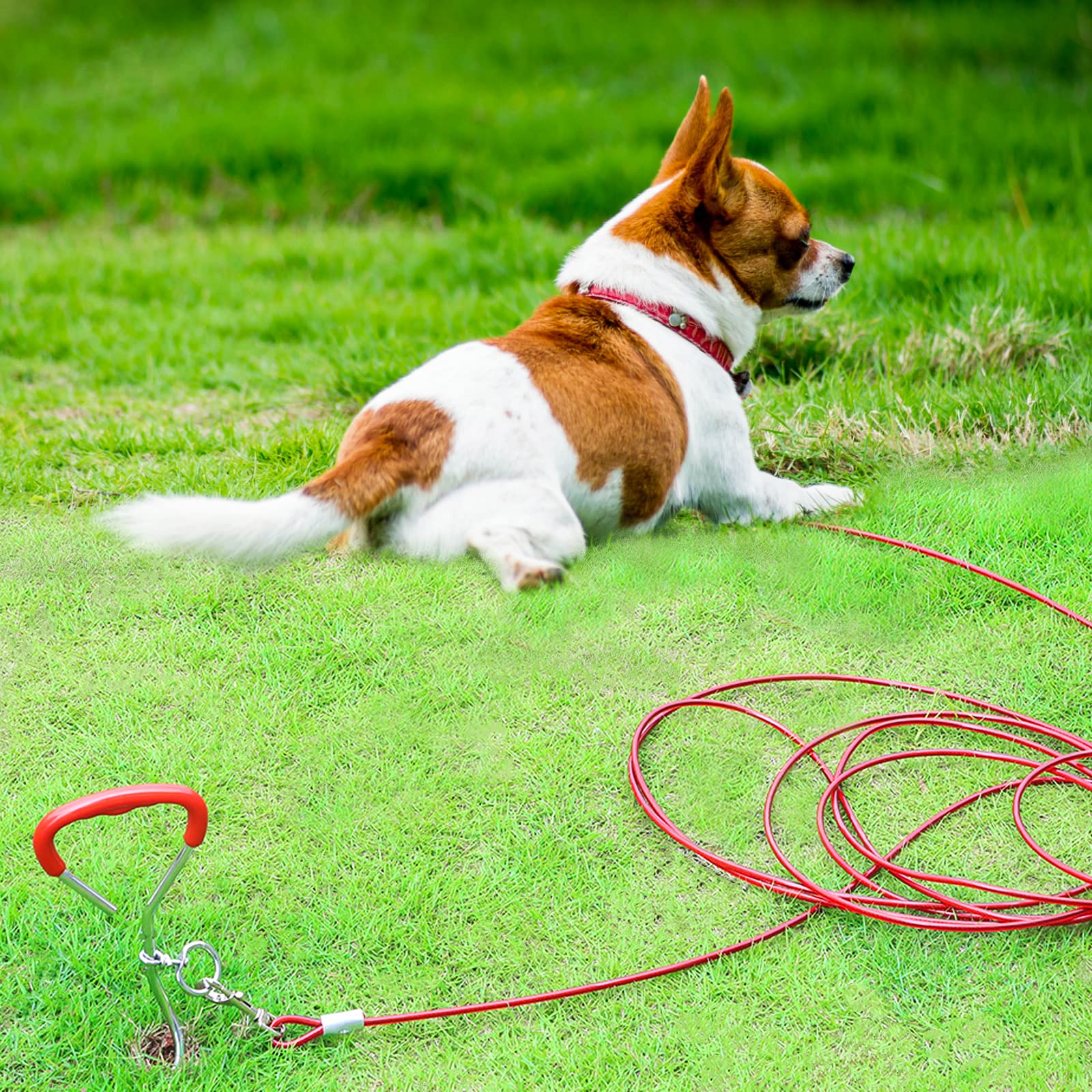 EFUTURETIME Estaca en Espiral de Acero Inoxidable Cromada, Cable de Amarre para Perros de 6m, Puede Girar 360° sin Atascarse, Ideal para Patios, Campings y Parques