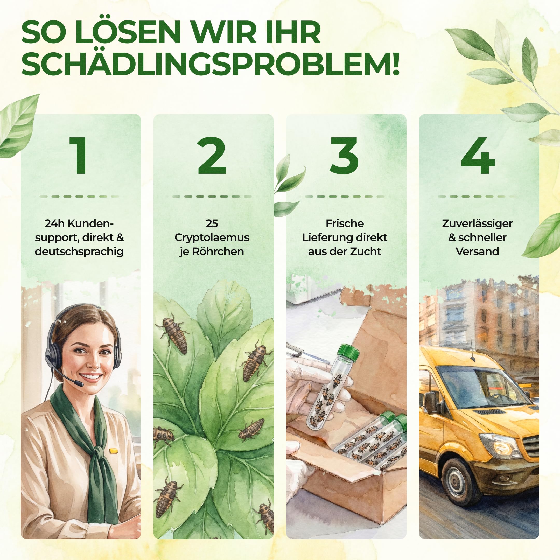 GREEN GUARDIA Australische Marienkäfer Larven gegen Wollläuse, Schmierläuse & Blattläuse – 3X Röhrchen für 30 m² – Natürliche Schädlingsbekämpfung ohne Chemie