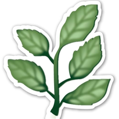 Oblique - //medicalbooks.filipinodoctors.org