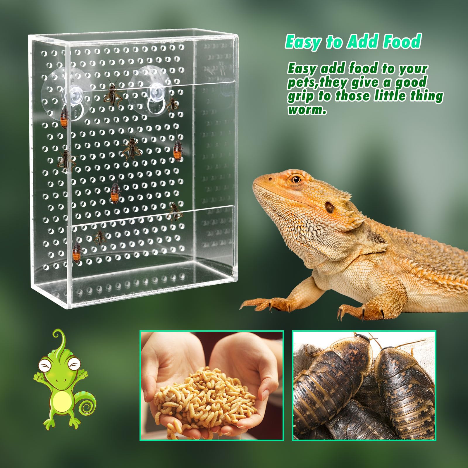 Transparent Acrylic Reptile Feeder Box, Wall-Mounted Insect Feeder with Suction Cups - Image 3