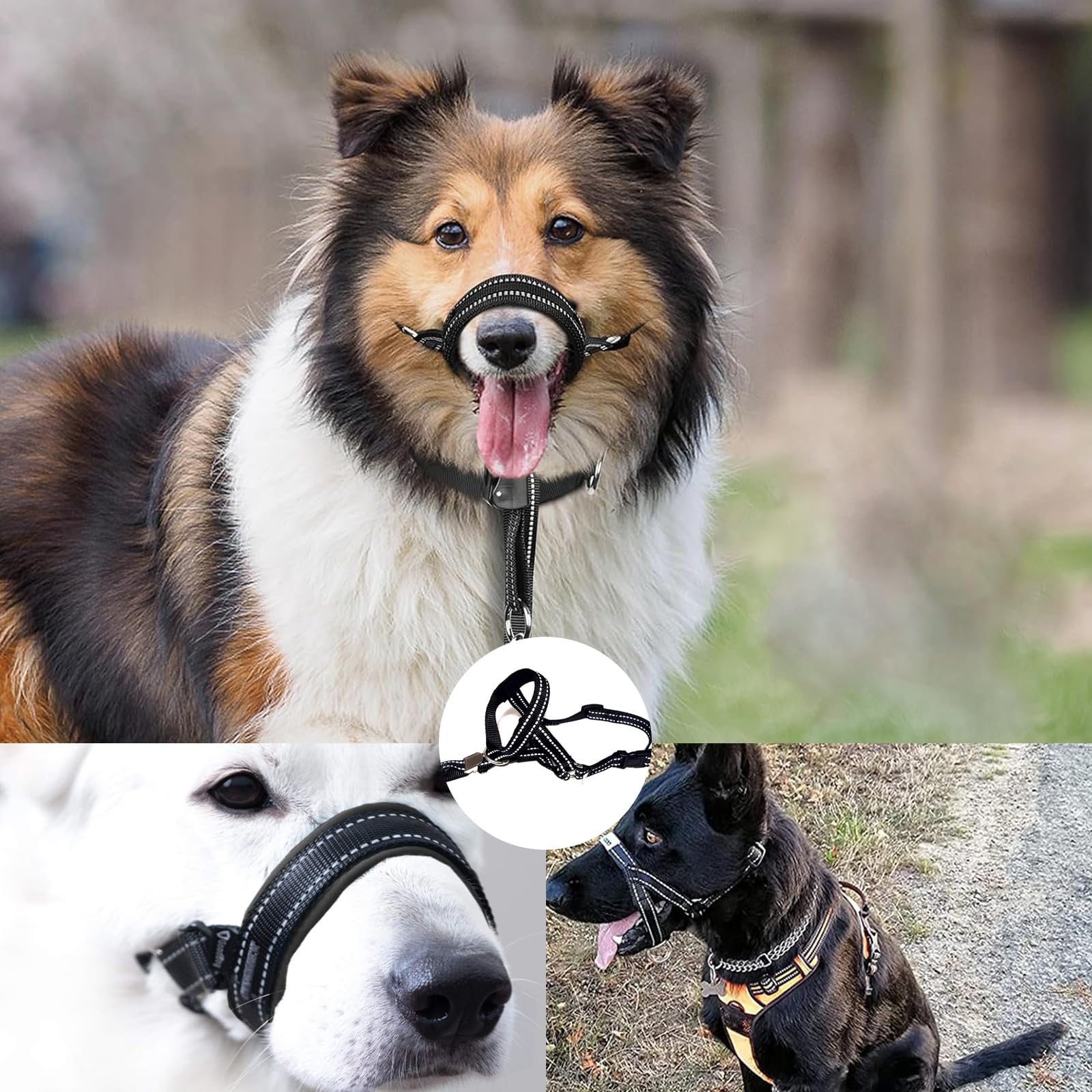 Museliere pour Chiens Grand/Moyen Collier de Dressage pour Chien Sangles Réglables Pet Corrector Boucle de Dégagement Musoliaire Chien Respirant pour Entraînement Quotidien Voyage