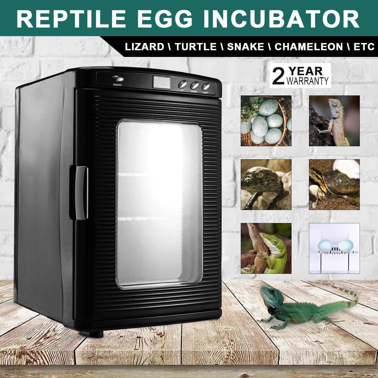 220V Reptile Incubator Inkubator 60W Inkubator Reptilien wärmeschrank 5℃~60℃