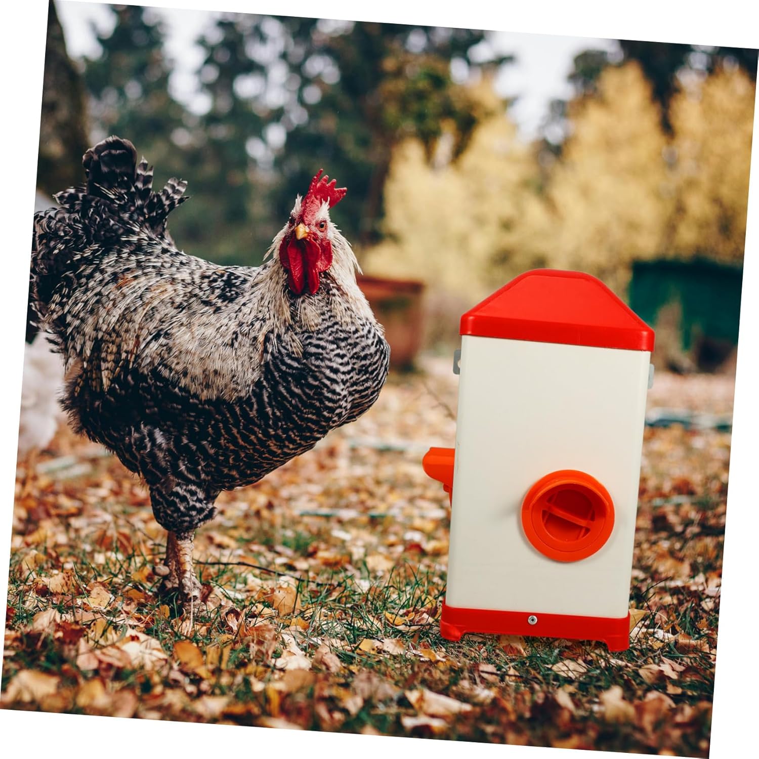 Poultry Feeding Holder Durable Chicken Feeder for Multiple Poultry Easy to Clean Automatic Food Container for Home Professional Use