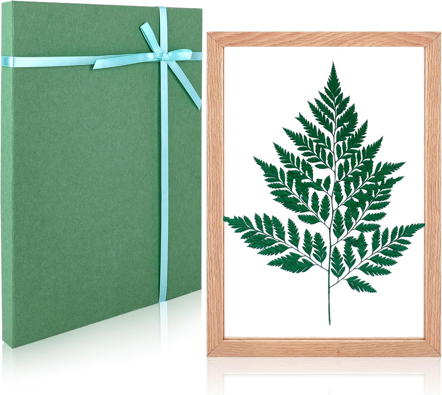 IVN 8 x 12 Floating Picture Frame, Solid Wood, Plexiglass, and Gift Box for Pressed Flowers, Plants, Artwork, and Certificates