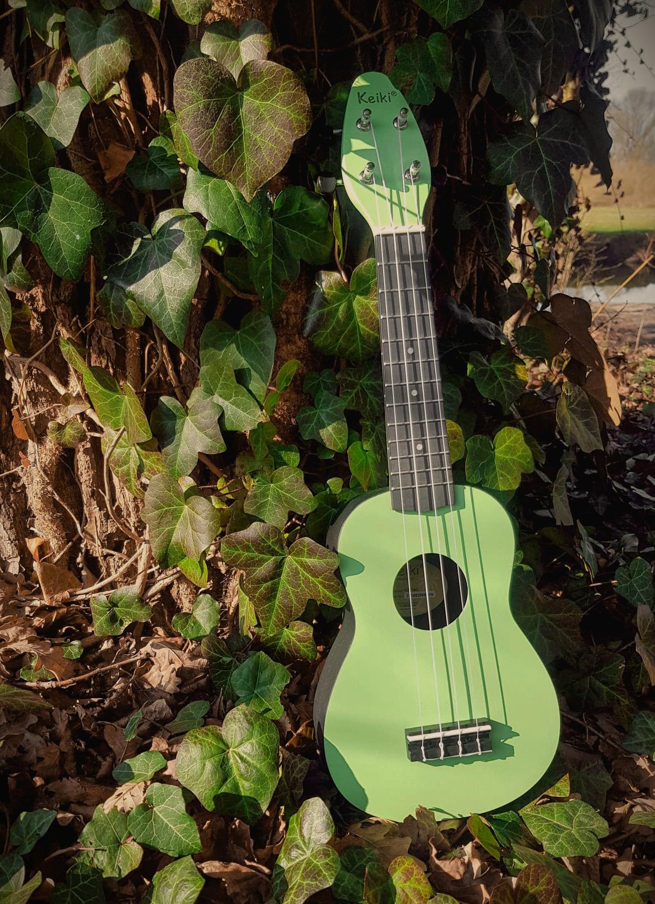 Ortega Guitars Ukelele Soprano verde - Keiki K2 - Kit de inicio incluye afinador, correa, 5 púas medianas y bolsa de dibujo - pastel/tomatillo (K2-TMO)