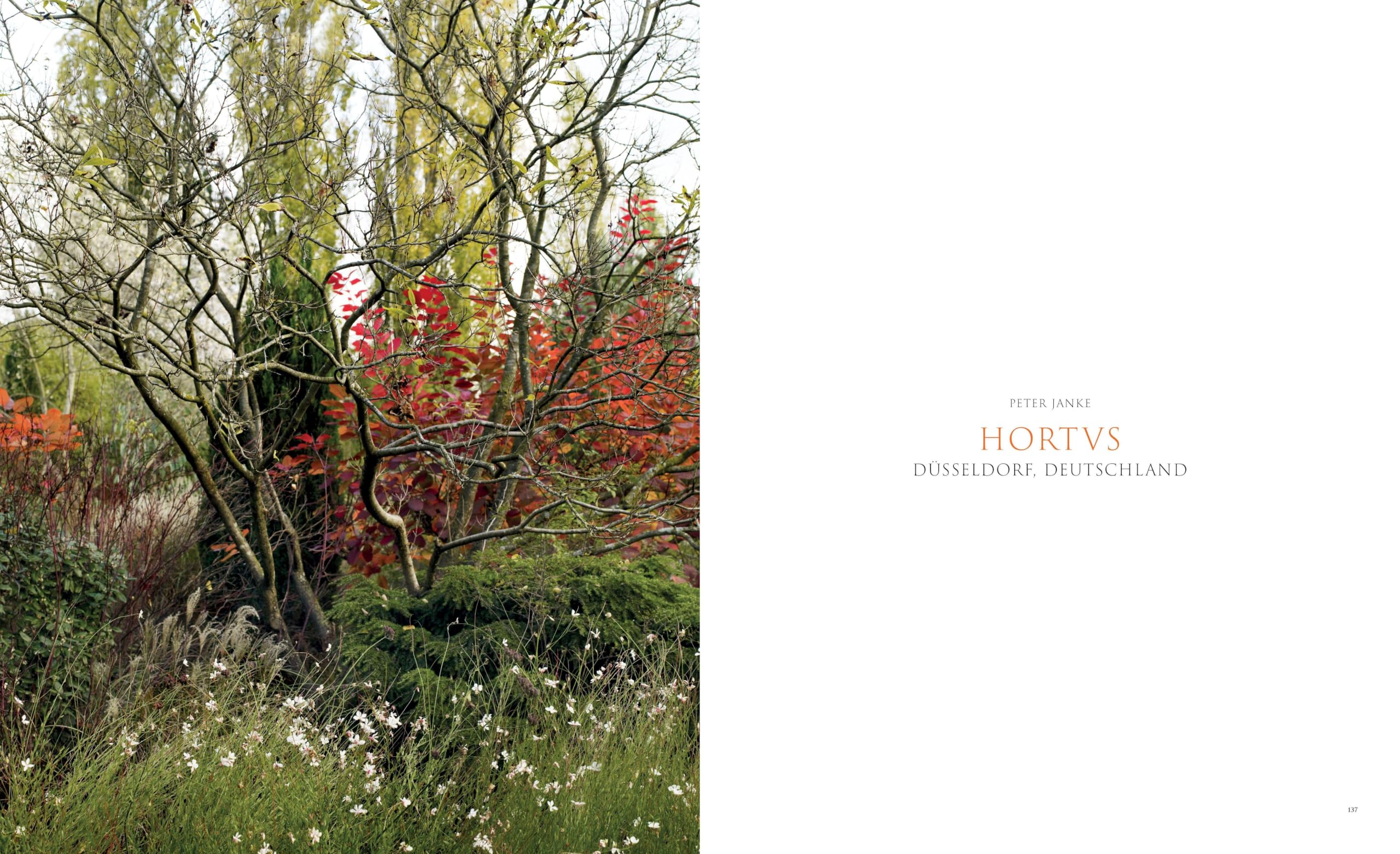 Pastorale Gärten: Inspirierende Gärten, wilde Landschaften und neue Ideen für nachhaltige Gartengestaltung.: Wo Natur auf Gartenkunst trifft.
