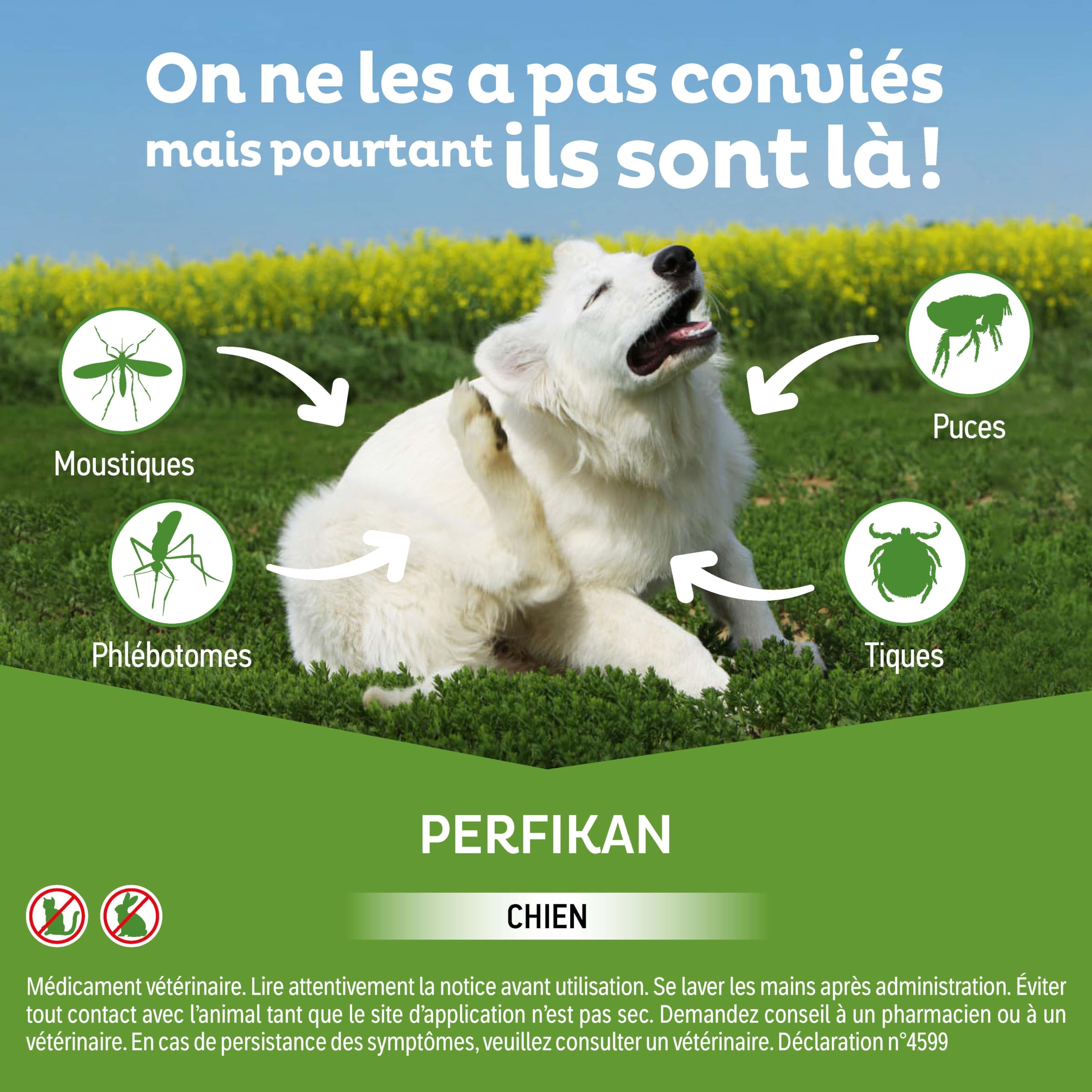 Perfikan Petits Chiens Clément Thékan (4–10 kg) – 67 mg/600 mg – Anti-Puces, Anti-Tiques, Anti-Moustiques et Anti-Phlébotomes – Protège jusqu’à 4 semaines – Fabriqué en France – 4 pipettes Spot On
