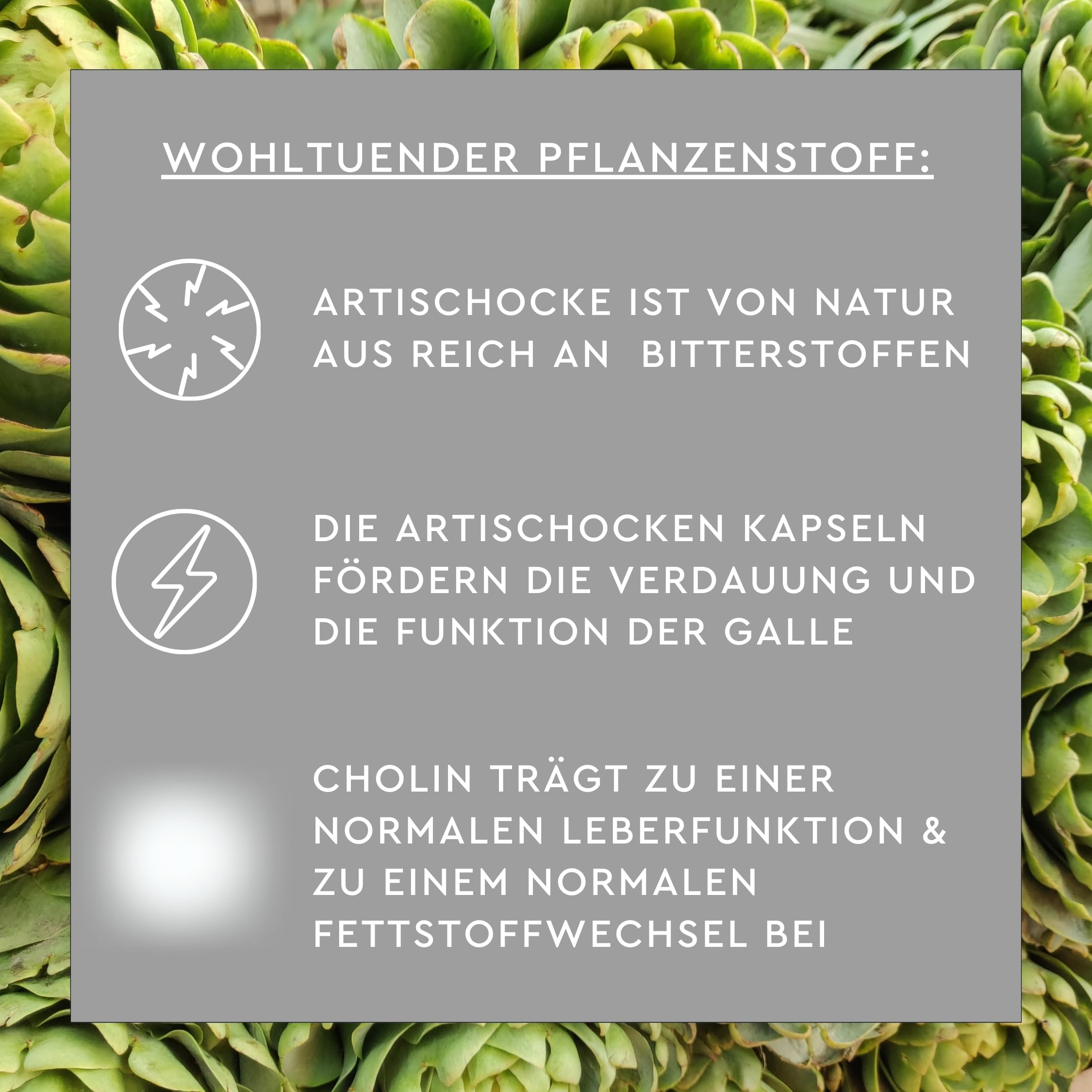 SUNLIFE Artischocken Kapseln hochdosiert I 1 x 60 Stück I Cholin mit Artischockensaftkonzentrat I Bitterstoffe für Verdauung & normale Leberfunktion I glutenfrei laktosefrei sojafrei