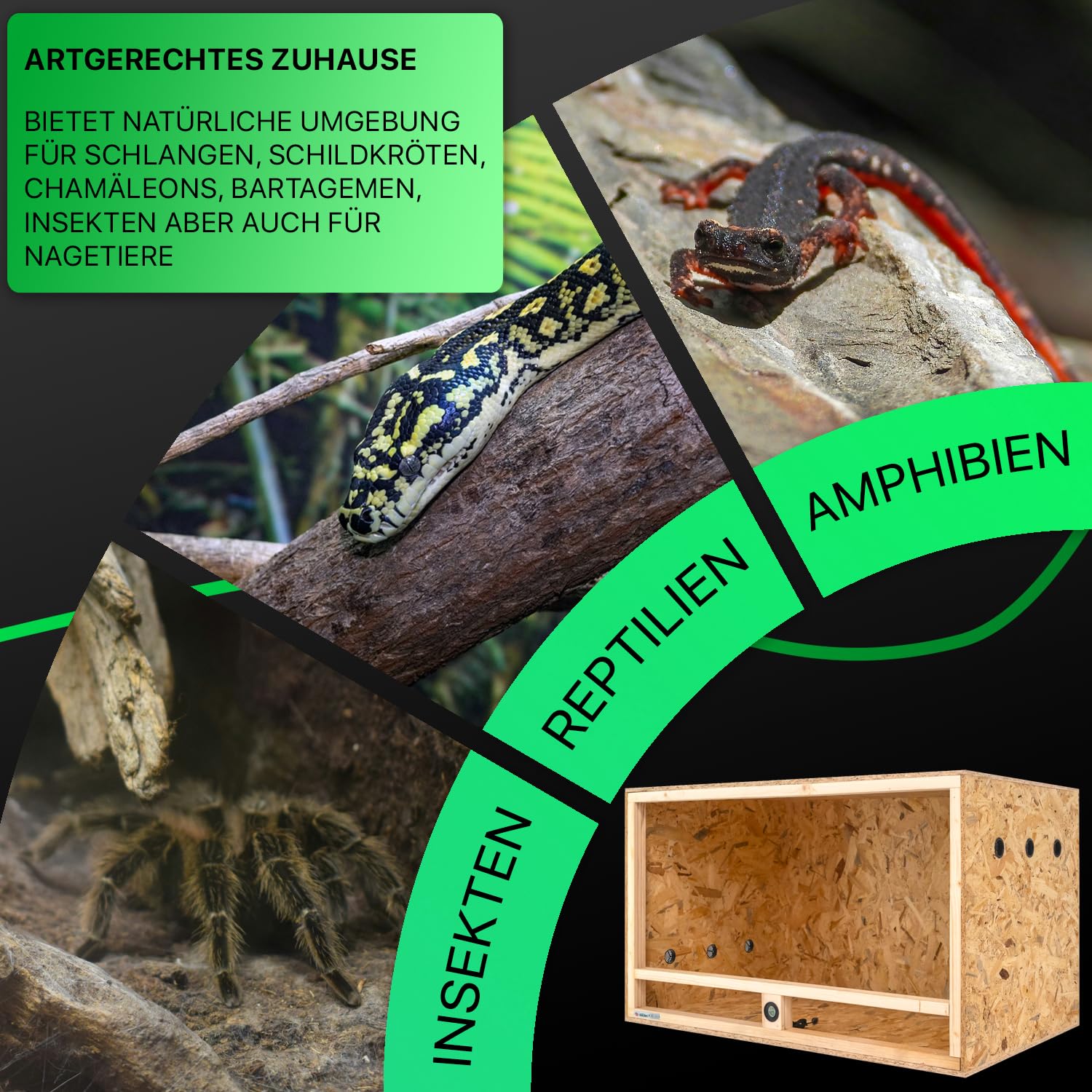ITA Holz Terrarium 100x60x60 cm mit Seitenbelüftung & Integriertem Hygrometer - Holzterrarium aus OSB-3 Platten - Terrarien für Reptilien, Schlangen, Amphibien - EU Produkt, FSC Zertifiziert