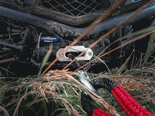 Miniatura 4 de VIPER Polaris RZR XP 1000, montaje de cabestrante personalizado.