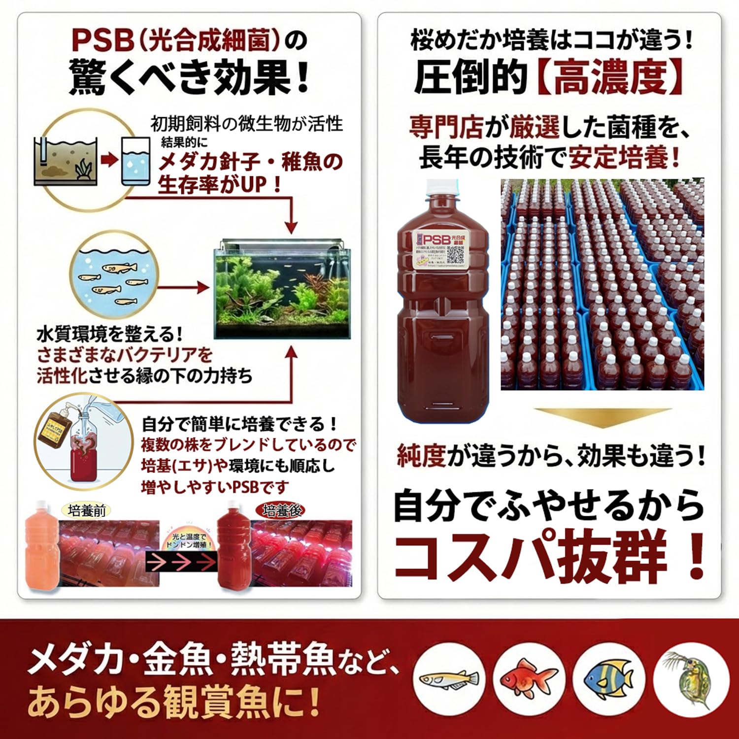 Amazon | 高濃度 PSB 光合成細菌 バクテリア 熱帯魚・金魚・メダカに 