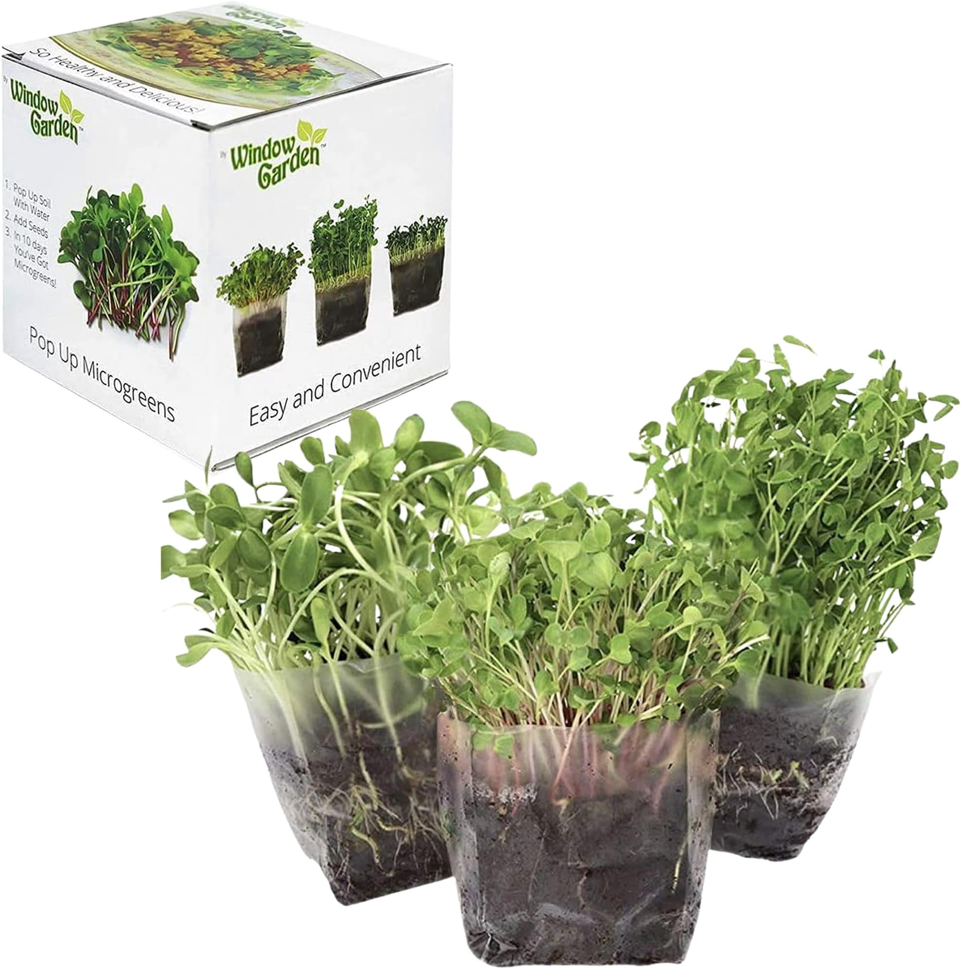 Microgreens Grow Kit - Assorted Microgreen Seeds, Indoor Starter Growing Kit - Includes Non GMO Seeds, 3 Quarts Organic Fiber Potting Soil and Pop-Up Bag - Grow Fresh Vegetables