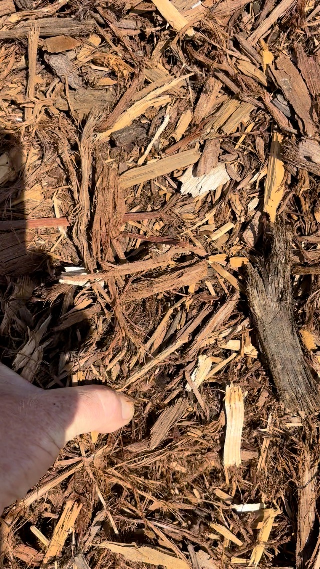 Amazon.com : MIGHTY109 100% Natural Cedar Mulch, 40 Quarts Plus 8