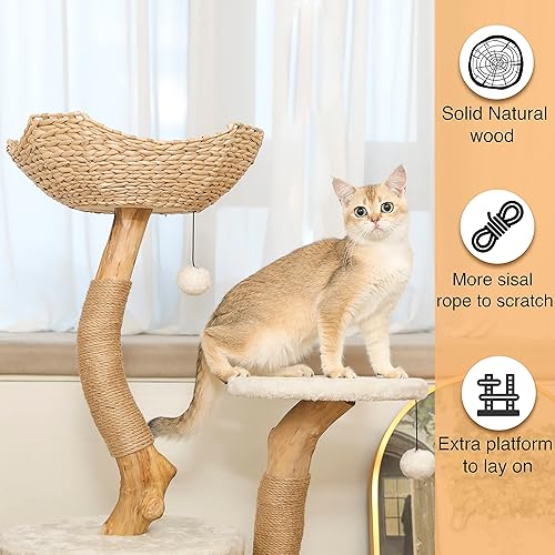 Miniatura 4 de Árbol moderno para gatos pequeños de interior, torre para gatos de madera real con poste para rascar, recinto oculto, único, bohemio, blanco