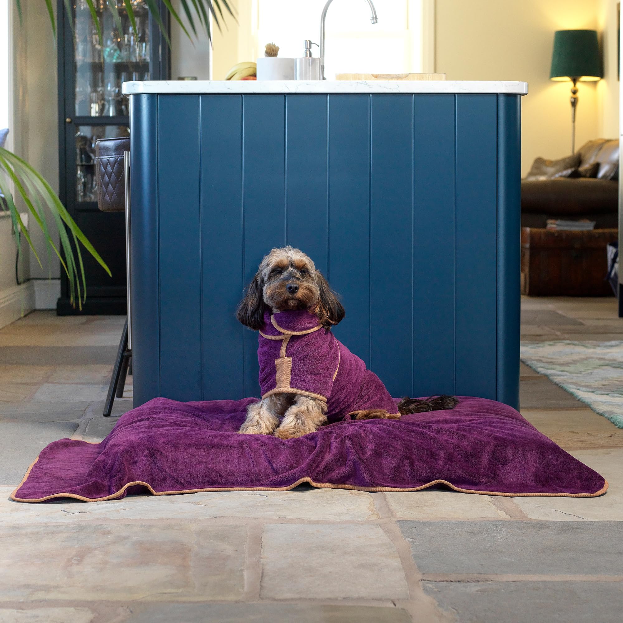 Lucky Paws® Hundebademantel – doppellagiger, Ultra-absorbierender & luxuriös weicher Bademantel Hund – Hunde in Minuten trocknen – Hundehandtuch & Hunde Bademantel in 1 (XL, Pflaume)