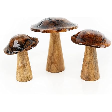 LRXIYODE 30-tlg. Holzpilze Set - Unbemalt Zum Basteln & Bemalen