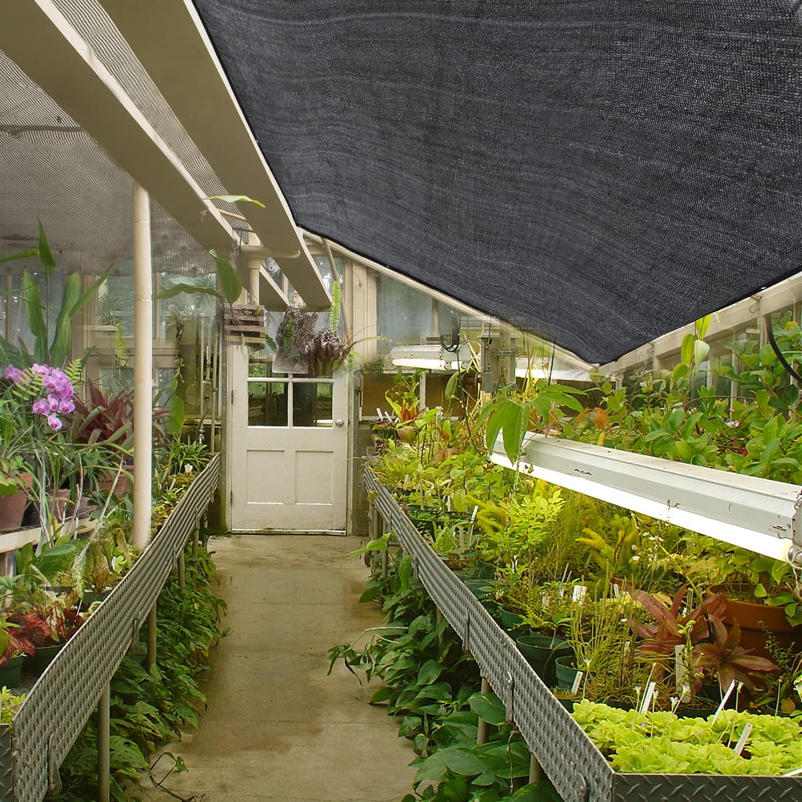 Filet D'Ombrage, 3x4M Tissu D'Ombrage, Filet Protection Solaire 80% à 90% UV Tissu D'Ombrage, Toile D'Ombrage avec œillets pour Jardin, Pergola, Terrasse, Plantes, Serre, Filet Solaire d'Extérieur