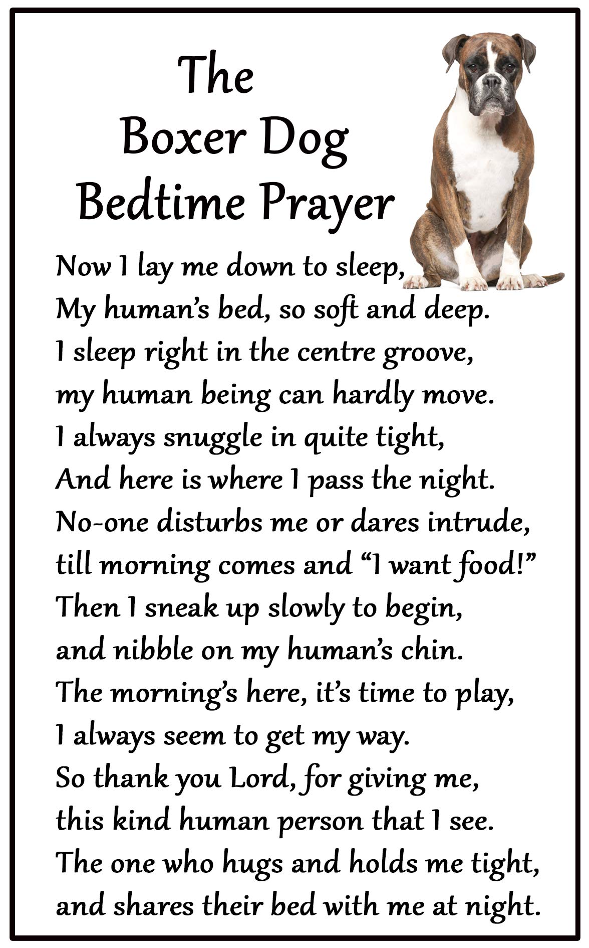 Fridge Magnets White Boxer Dog Gift - Bedtime Prayer - Large Fun Flexible Fridge Magnet- Size 16Cms X 10 Cms (Approx. 6" X4")