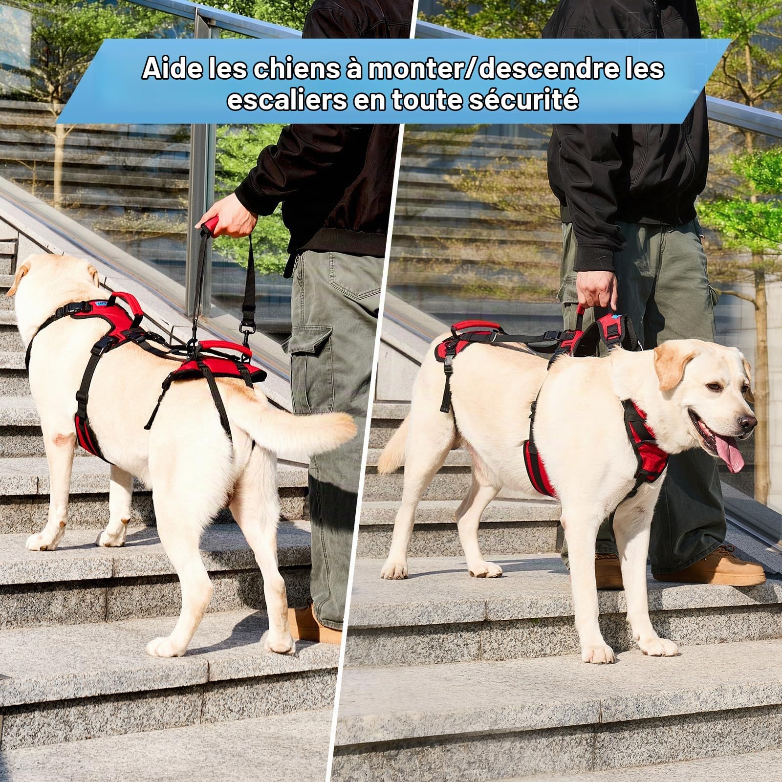Harnais de Levage pour Grands Chiens, Harnais de Soutien Complet pour Escaliers et Faiblesse des Pattes Arrière, Aide à la Marche pour Chiens Seniors, Rouge, L