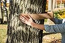 Thumbnail 15