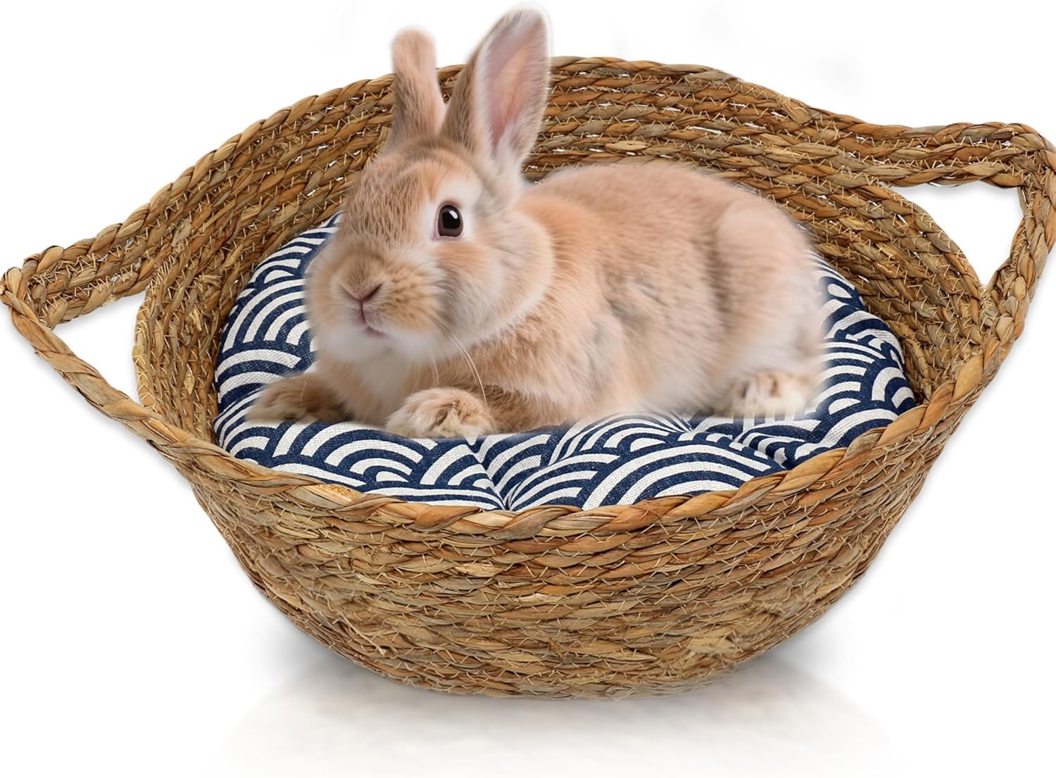 Amazon.com : Jevnd Large Grass Bunny Bed for Large Rabbits with Warm ...