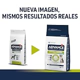 Ver la foto 2