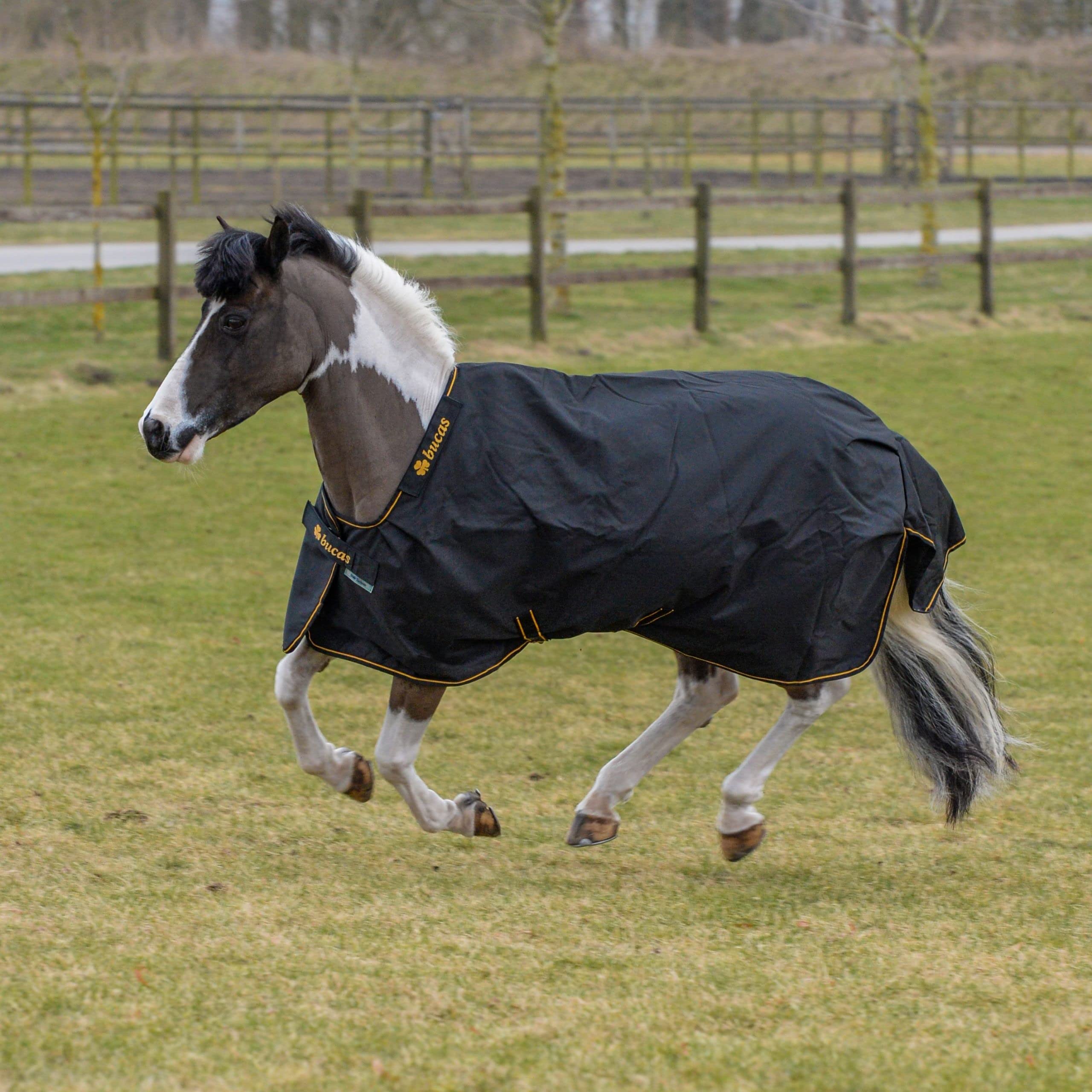 Bucas IrishTurnout - Coperta per cavallo, extra 300 g, 130 SW/Gold