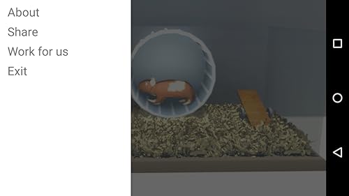 Racionalização Hamster