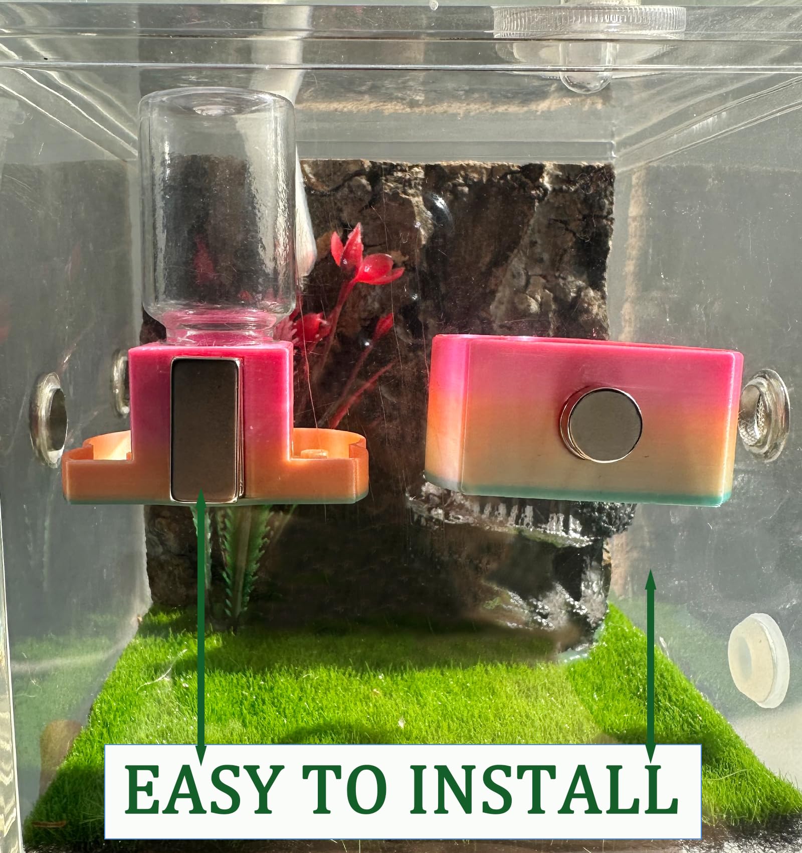 Heyshapeing Jumping Spider Kits, Magnetic Hanging Water Dispenser & Feeder Dish with Cleaning Brush & Tweezers, 8ml - Image 3