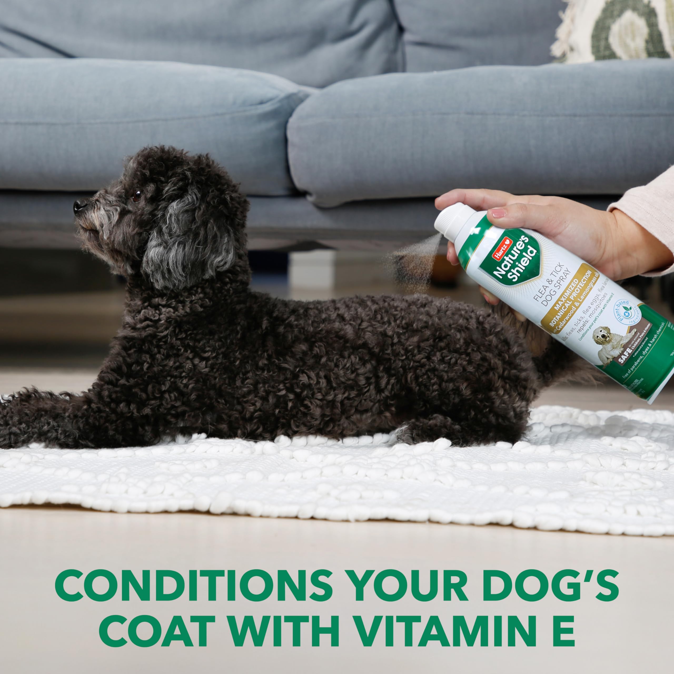 Amazon.com : Hartz Nature's Shield Flea & Tick Spray Treatment for