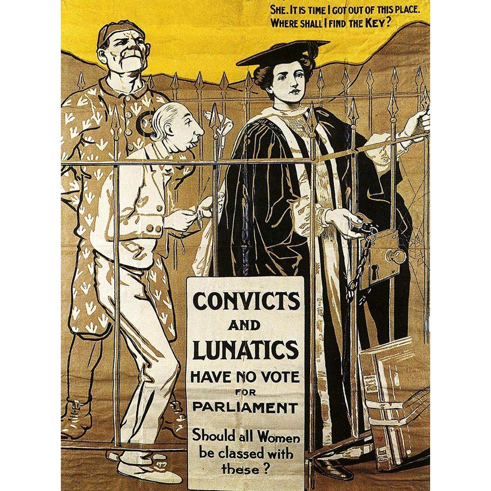 Wee Blue Coo Political Convict Lunatic Women Suffrage UK Art Print Poster Wall Decor 12X16 Inch