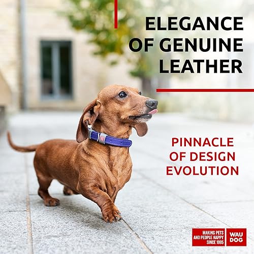 Miniatura 2 de WAUDOG Collar de cuero de larga duración para perros grandes, medianos y pequeños  Collares clásicos ajustables para cachorros de raza grande
