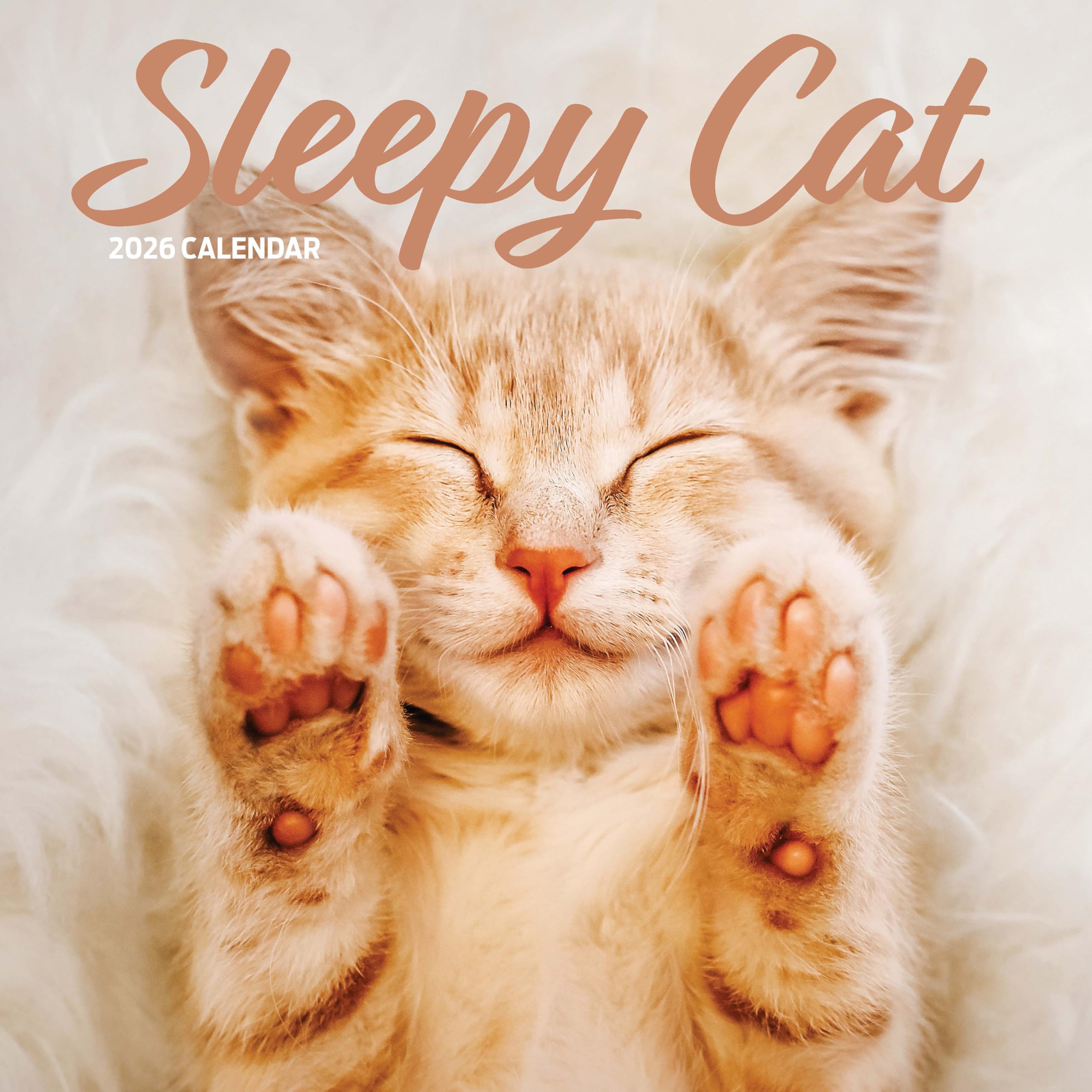 Sleepy Cat 2026 Calendar