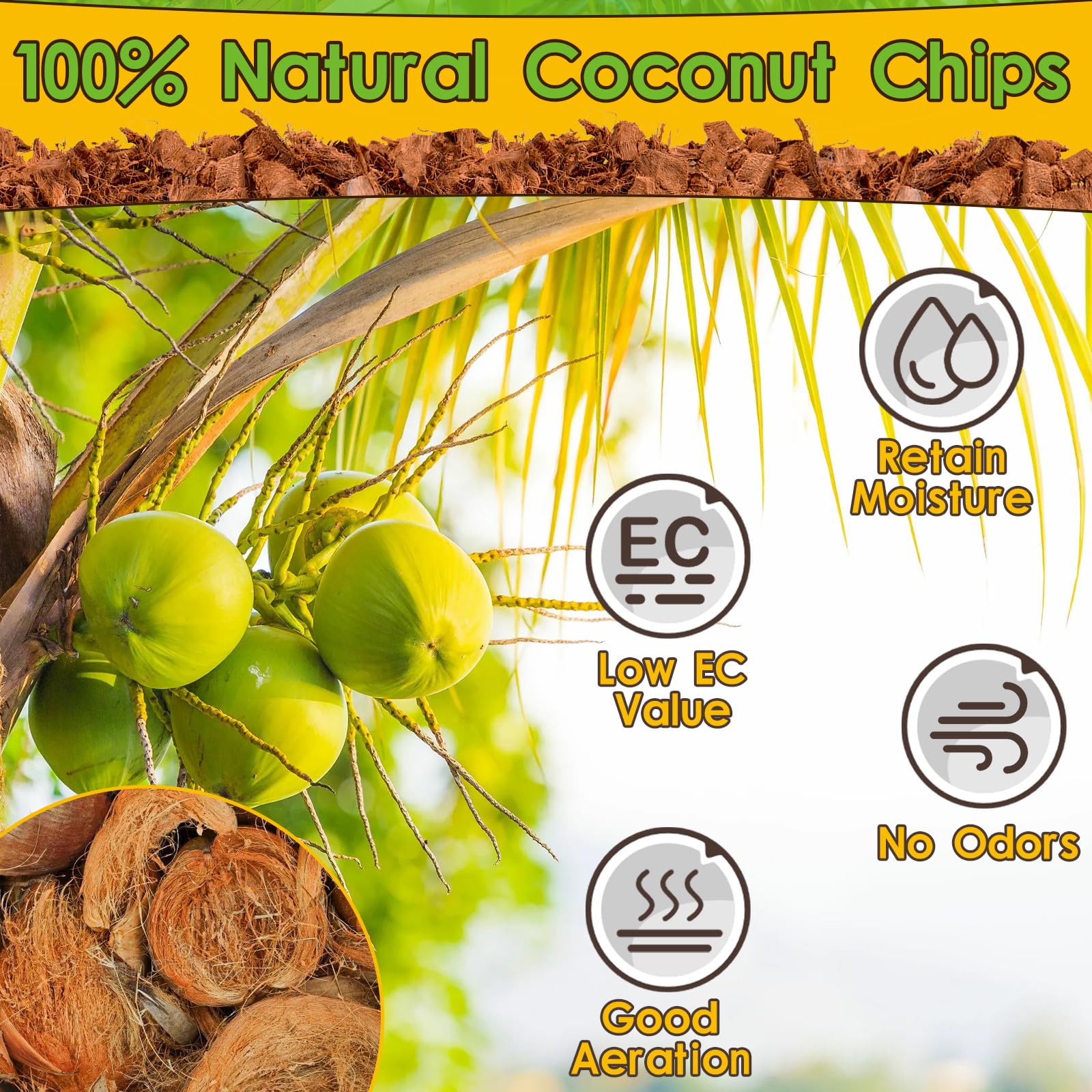 Snapklik.com : 6Pack Compressed Coconut Chips Brick Natural Coconut ...
