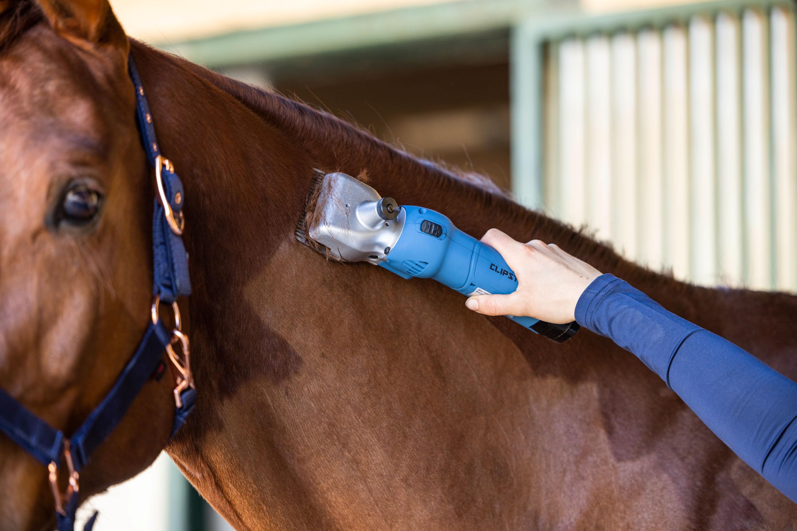 Clipster Esquiladora inalámbrica FarmClipper Akku2, para animales, incluye 2 baterías, azul, 28,5 x 8 x 8 cm, para esquilar caballos, veterinarios, 120 minutos de duración de la batería