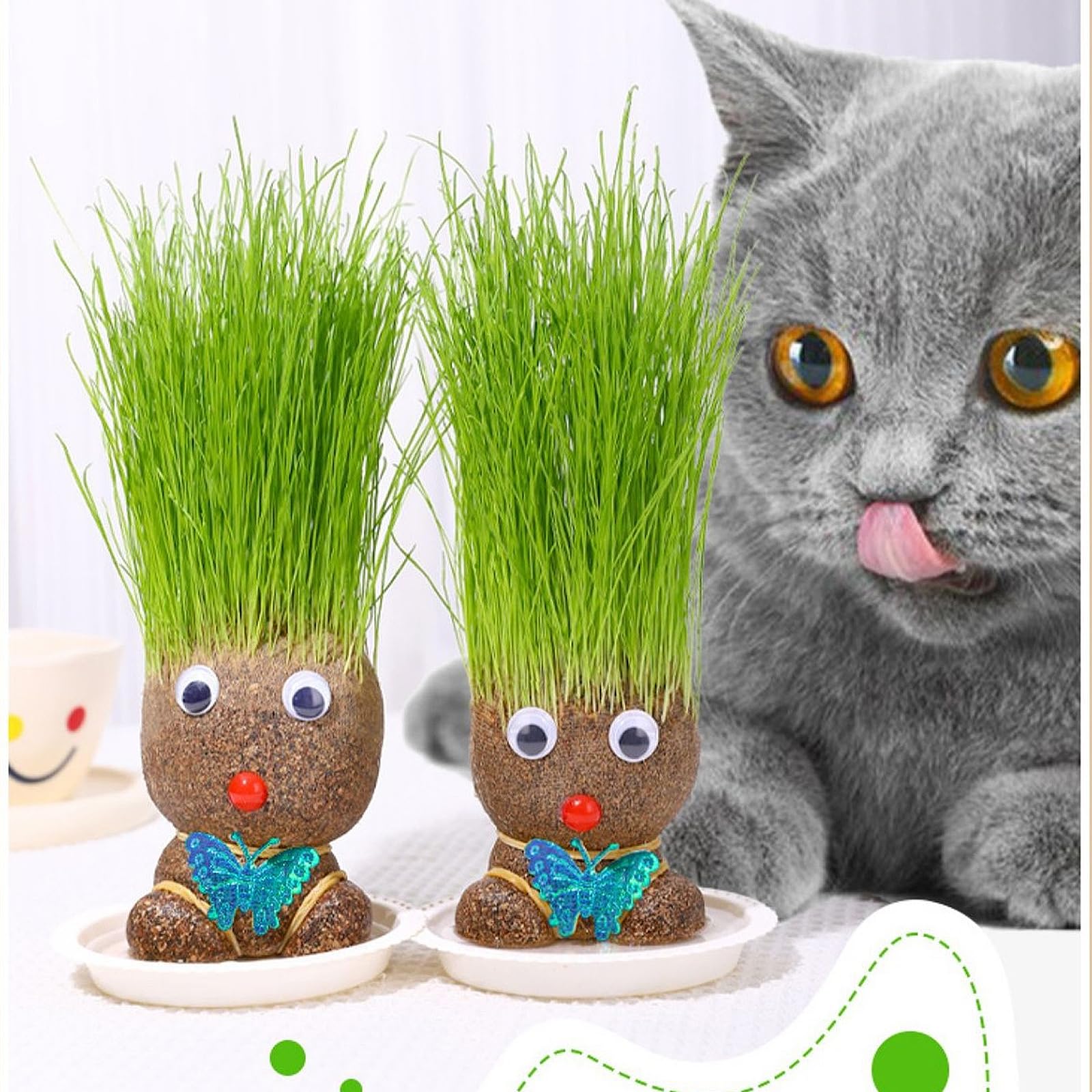 GmwyCzV 2 Piezas Planta de Muñeca con Cabeza de Hierba, Plantas Mesa Crecimiento con Bandeja, Maceta de Cabeza de Muñeca, Plantas en Maceta para Niños, Regalos de Crecimiento para Niños — view 7