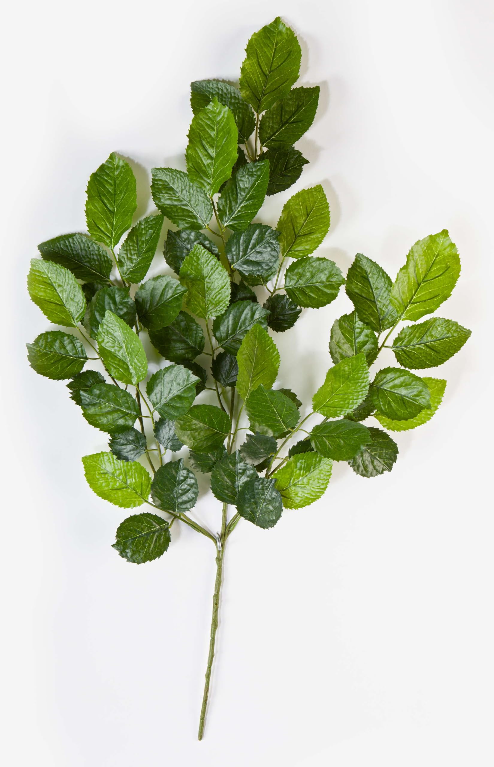 Ramo Di Camelia Artificiale Con 55 Foglie - Verde, 55 Cm, Pianta Finta Per Decorazioni, Trattamento UV Opzionale