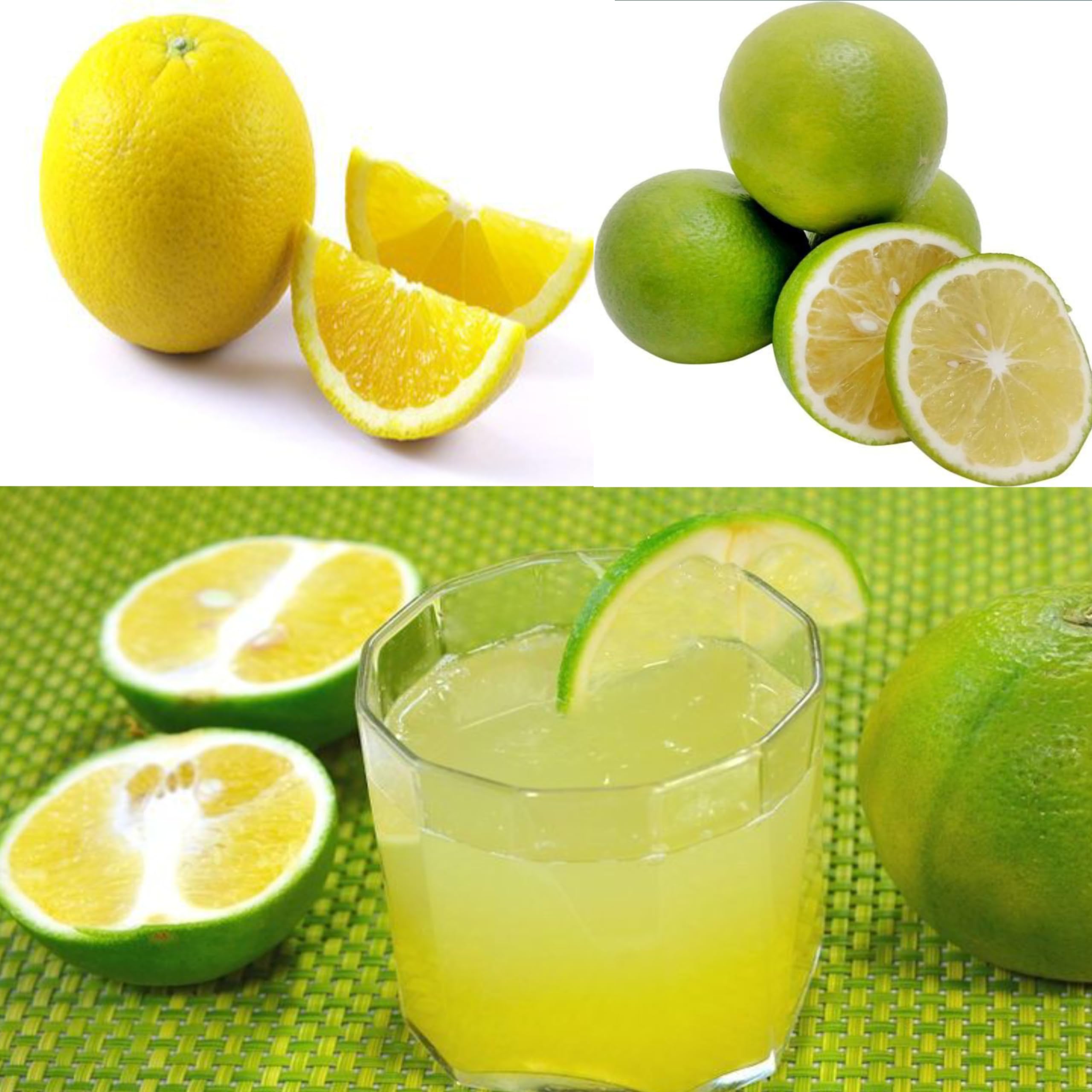 See full amazon price history chart for Eroanvia Combo 2 Grafted Rangapur Mosambi Malta Sweet Lemon Fruit Plant(1.5-2) Feet) Healthy Live Fruit Plant For Home Garden Eroanvia Combo 2 Grafted Rangapur Mosambi Malta Sweet Lemon Fruit Plant(1.5-2) Feet) Healthy Live Fruit Plant For Home Garden (B0CH8MR8R4) Amazon Price History, Amazon Price Tracker
