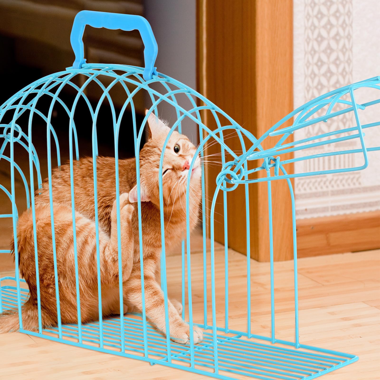 minkissy Jaula de Aseo para Gatos, Jaula de Ducha para Gatos, Jaula de baño para Gatos pequeños, Estructura de Hierro, diseño Transpirable, fácil de Guardar, Color Azul