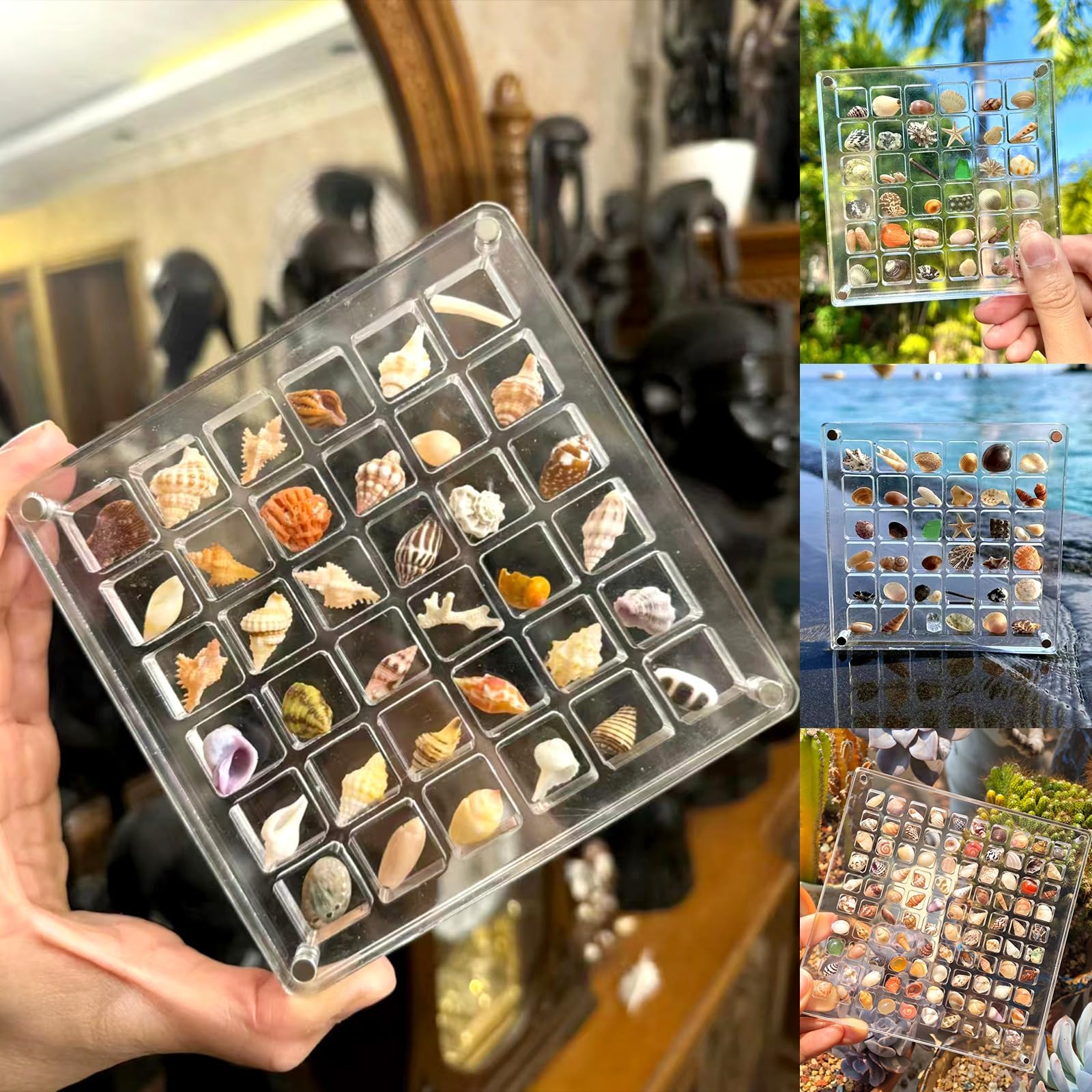 Vordpe Acrylic Magnetic Seashell Display Box, Clear Seashell Storage Box, Seashell Storage Box Display Organizer, Acrylic Display Box for Seashell, Diamond, Gemstone (36 Grids)
