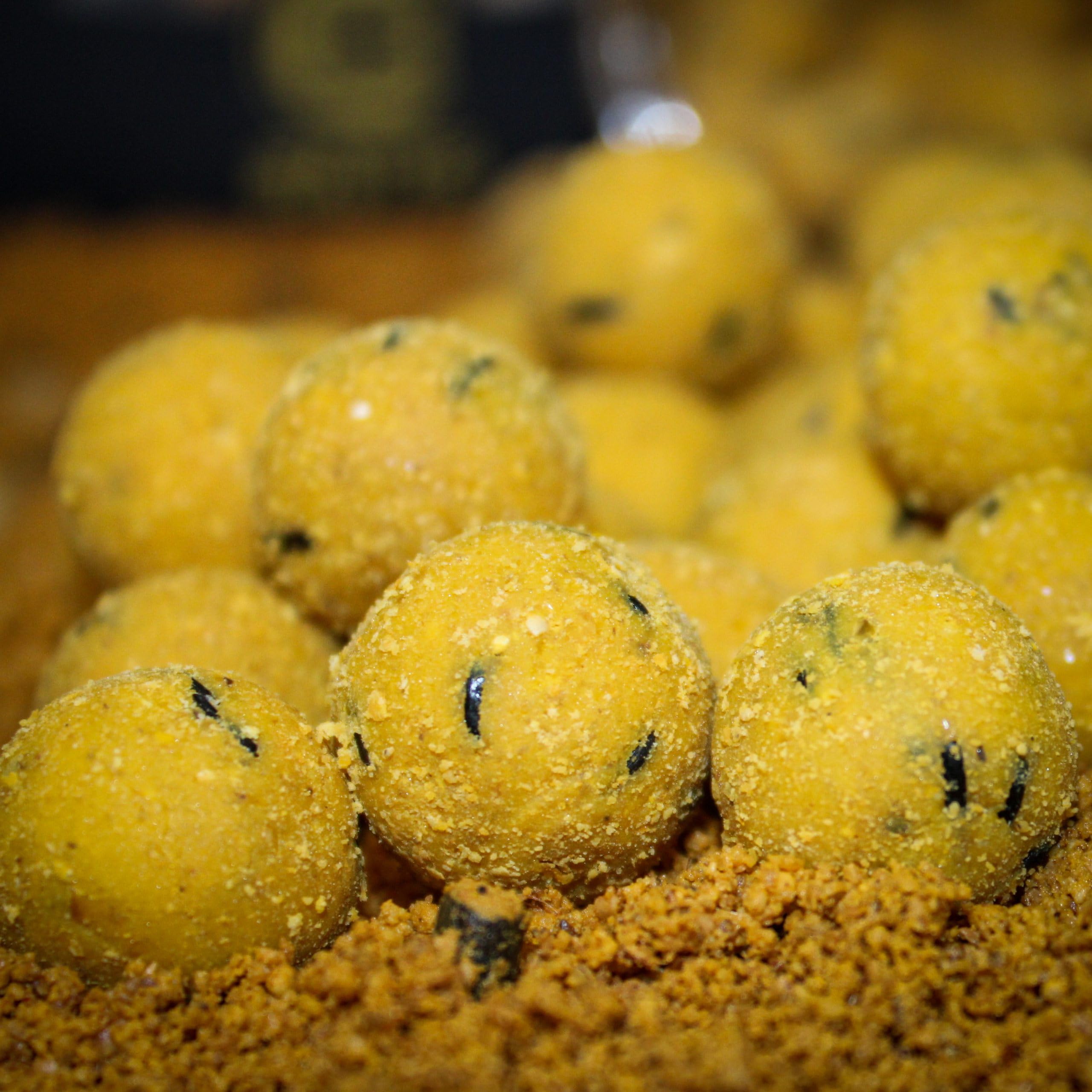 Pro Elite Baits Session Pack Gold | Carp Food | Pack Cebo para Pesca de Peces Grandes |