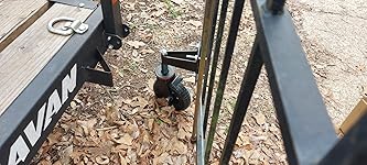 Review Image by David David